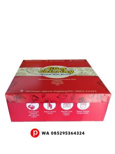 box makanan klaten