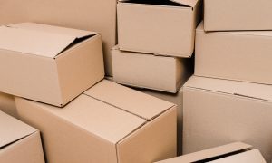 kardus packing